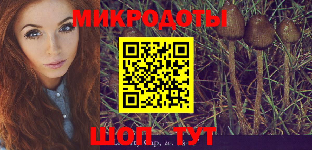 Псилоцибиновые грибы прущие грибы  Вход с VPN  Галлюциногенные грибы Psilocybine cubensis  Донской 